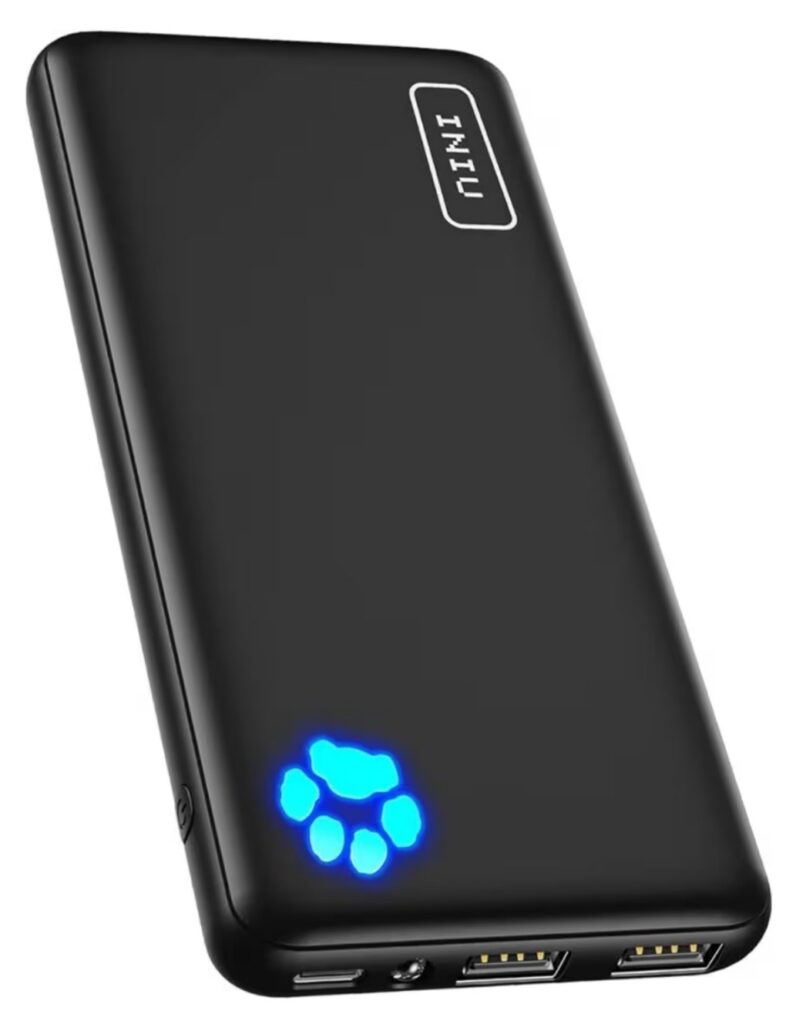 INIU 10000mAh Power Bank - FIND5STAR